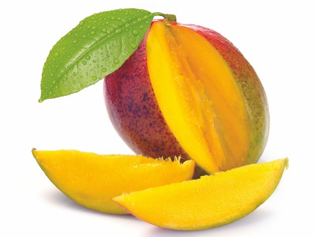 Mangue