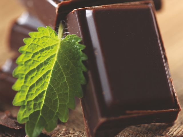 Menthe chocolat