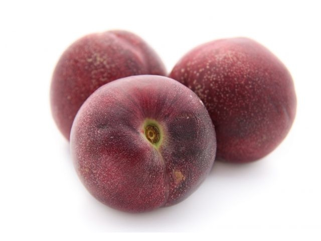 Peche de vigne